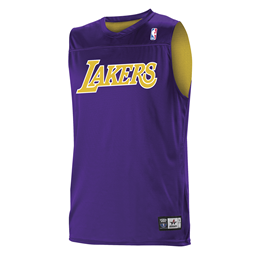 Los Angeles Lakers Reversible Basketball Practice Purple Gold