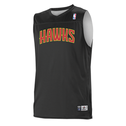 Alleson Athletic A105LY Youth NBA Logo Reversible Jersey - Charlotte H