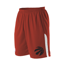 Alleson Athletic A205LY Youth NBA Logo Game Short - Los Angeles Lakers